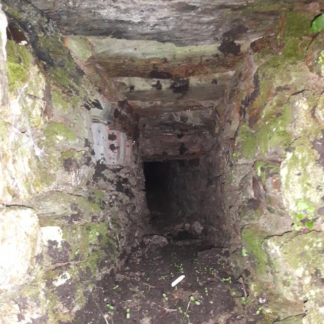 Hidden tunnel I've found whilst working at a 16/17th century house in angarrack....going to have to explore one day